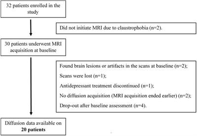 White Matter Microstructure Alterations Associated With Paroxetine Treatment Response in Major Depression